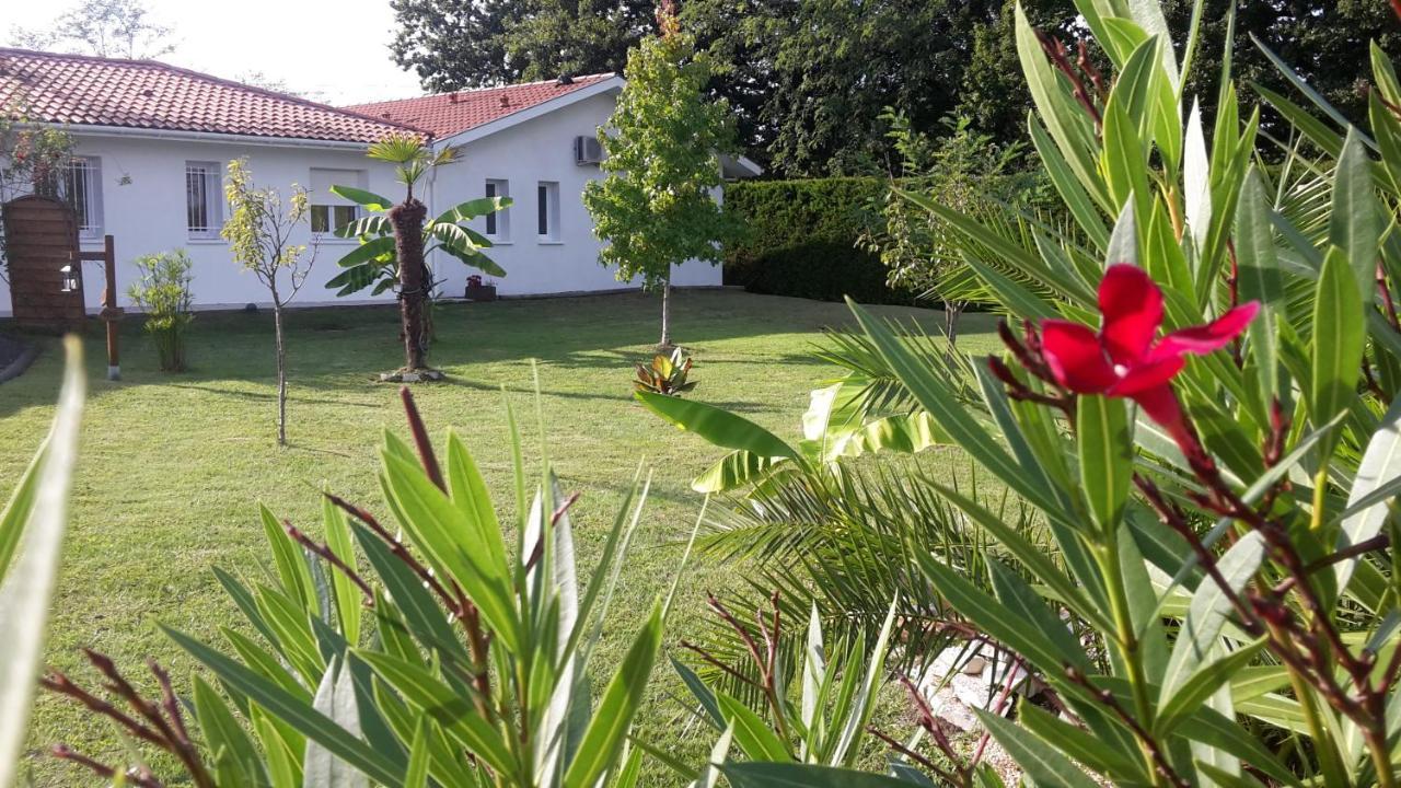 Chambres D'Hotes - Le Petit Bali Saint-Pandelon ภายนอก รูปภาพ